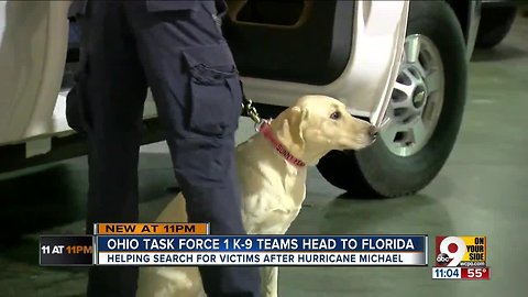 Ohio Task Force One sends K-9 unit to recover Hurricane Michael victims