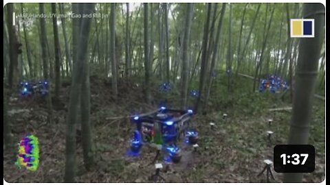 Autonomous drones fly through Chinese bamboo forest