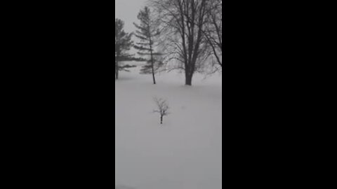 Neige