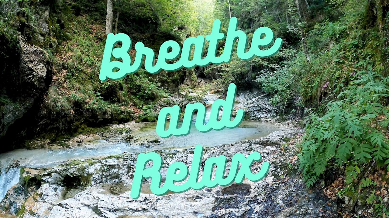 Relaxing forest brook waterfall meditation calm cleansing