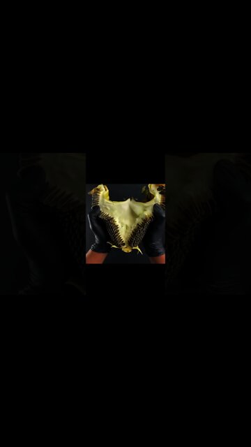 Sitisfying Mix#asmr​#oddly​ satisfying#satisfying​ video#oddly​ satisfying video#shorts