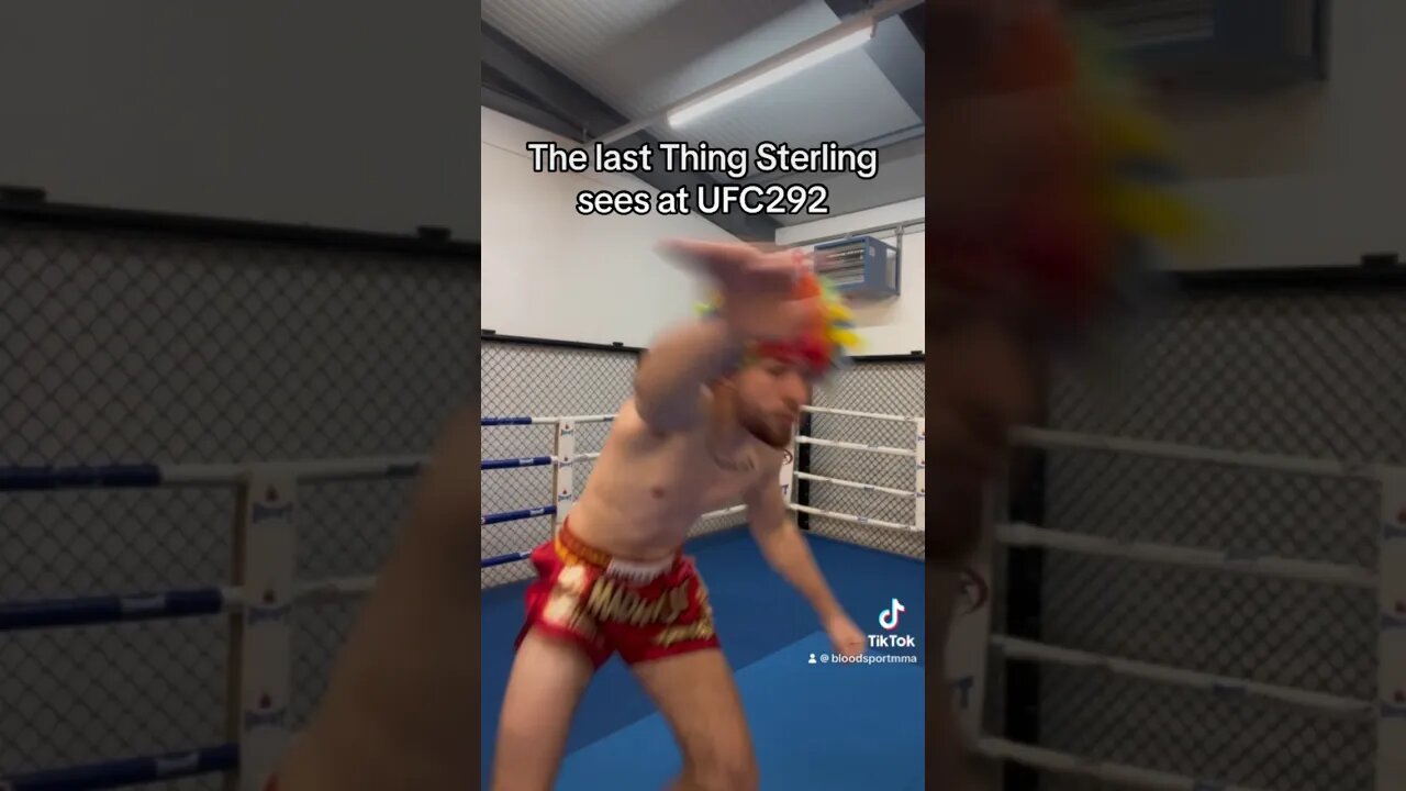 The last Thing Aljamain Sterling sees at UFC292