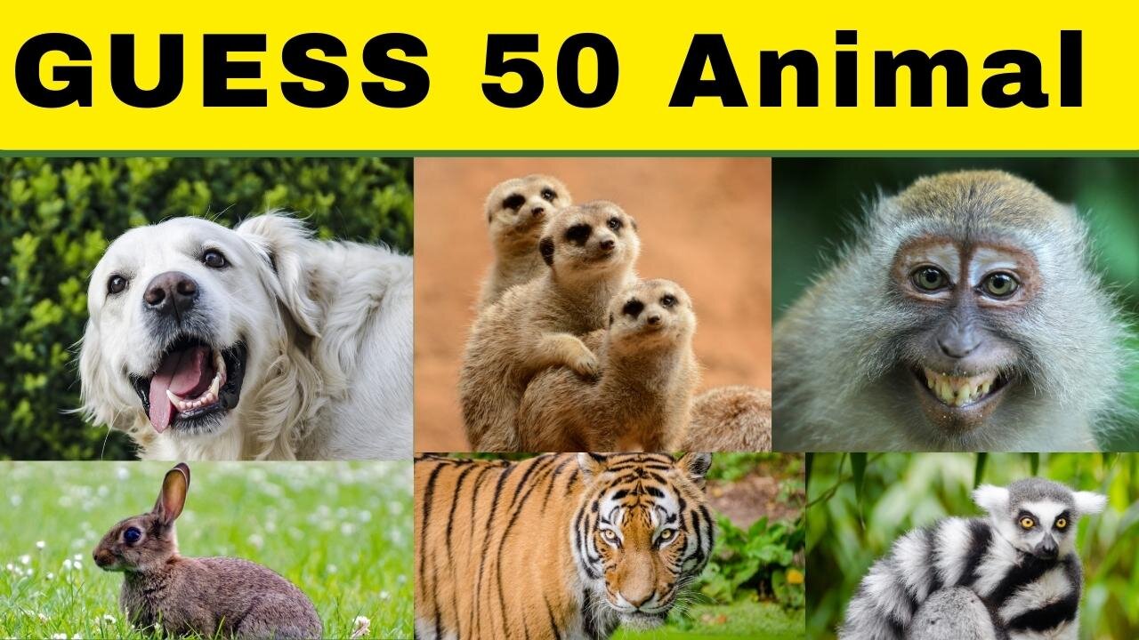 Guess 50 Animals | GUESS THE ANIMAL🐻🐍 | ANIMAL RIDDLES | CAN YOU GUESS THE ANIMAL