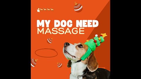 Dog need massage 💆‍♂️