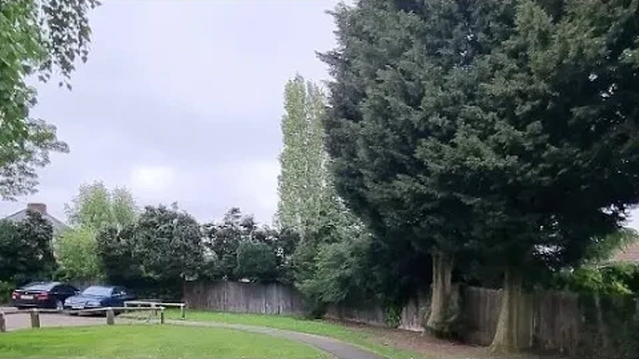 early evening live walk