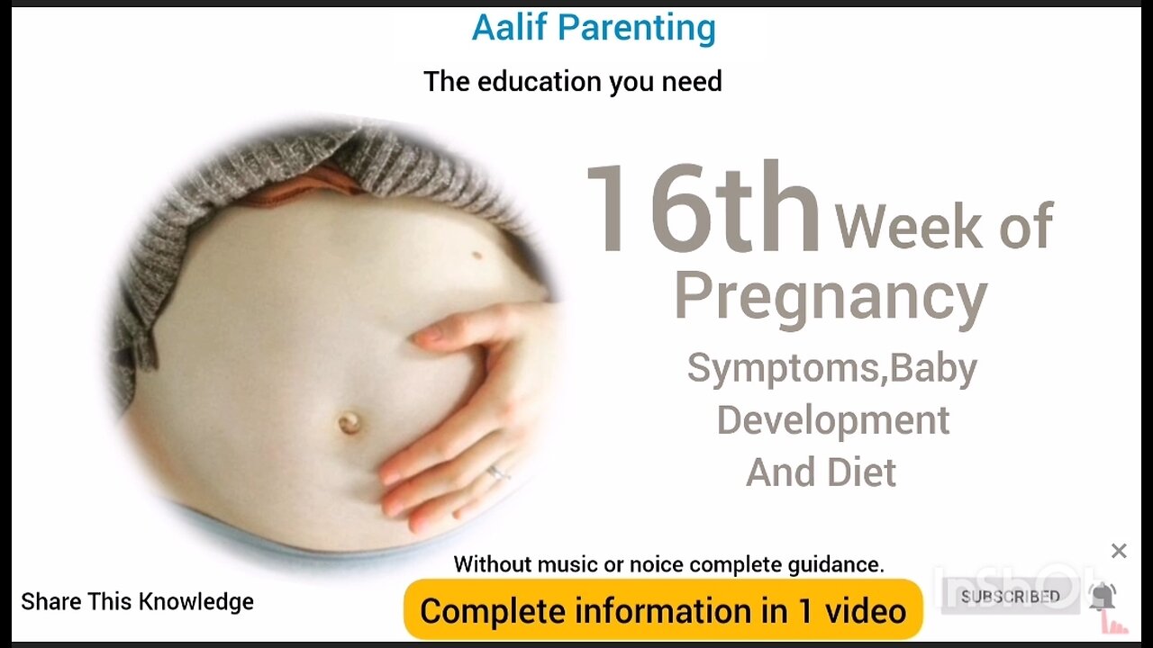 Sixteenth week of pregnancy. What to expect? Complete possible knowledge in 1 video #pregnant