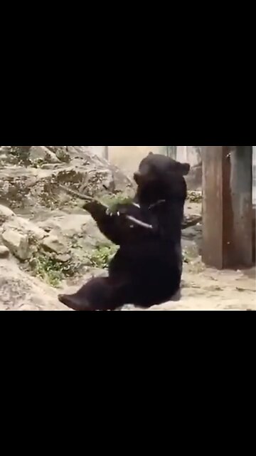 Real Life Kung Fu Panda