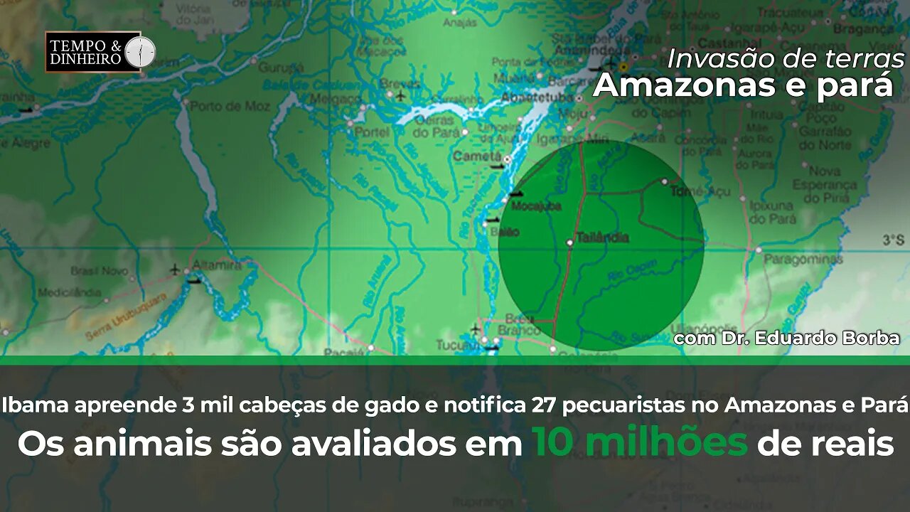 Ibama apreende 3 mil cabeças de gado e notifica 27 pecuaristas no Amazonas e Pará.