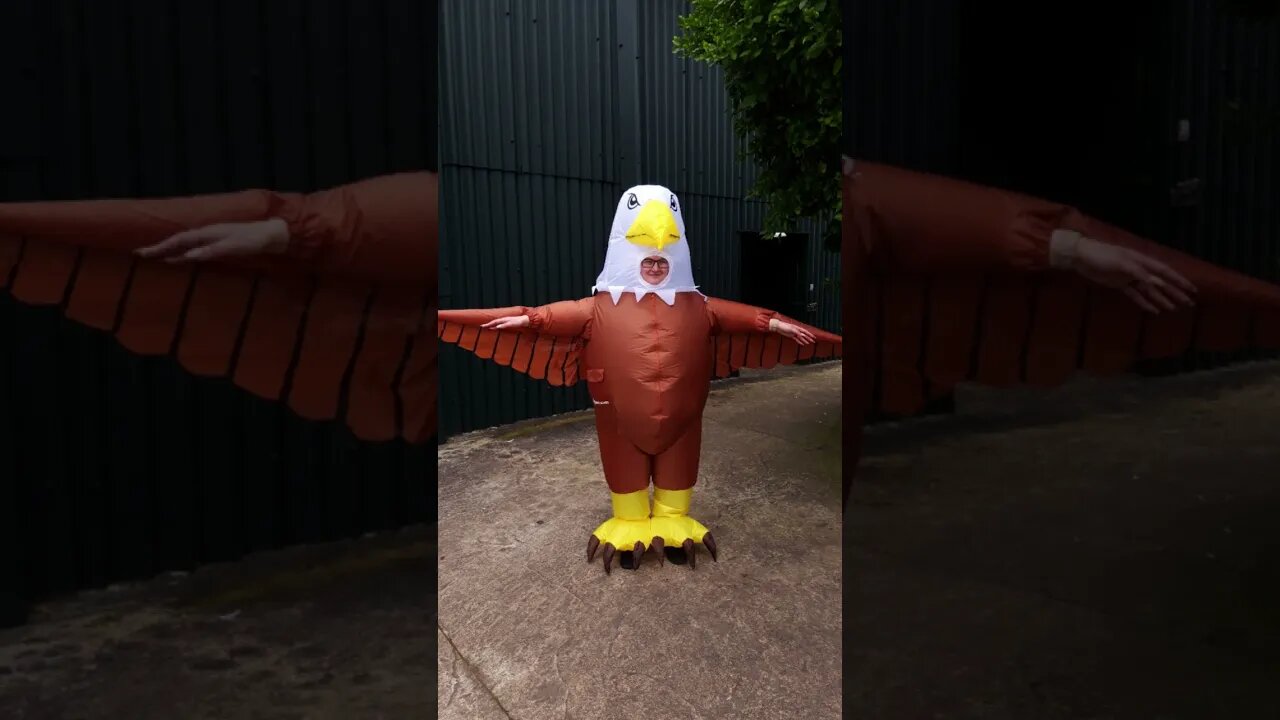 Watch Zoo seeking 'seagull deterrents' to wear giant bird costumes, scare seagulls #shorts