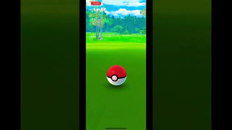 Catching Spinda in Pokémon Go - Right Round 🌀🌀🌀