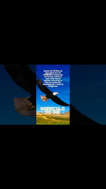 VERSÍCULO DO DIA 10/01/2023.#shorts