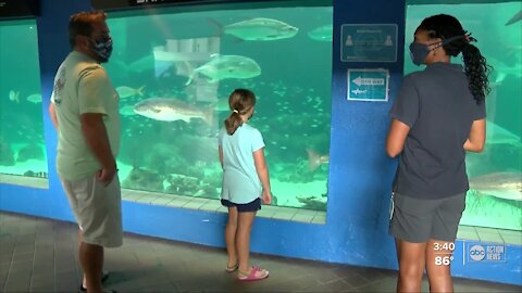 Shark trainer leading the way for minority women in aquarium biology