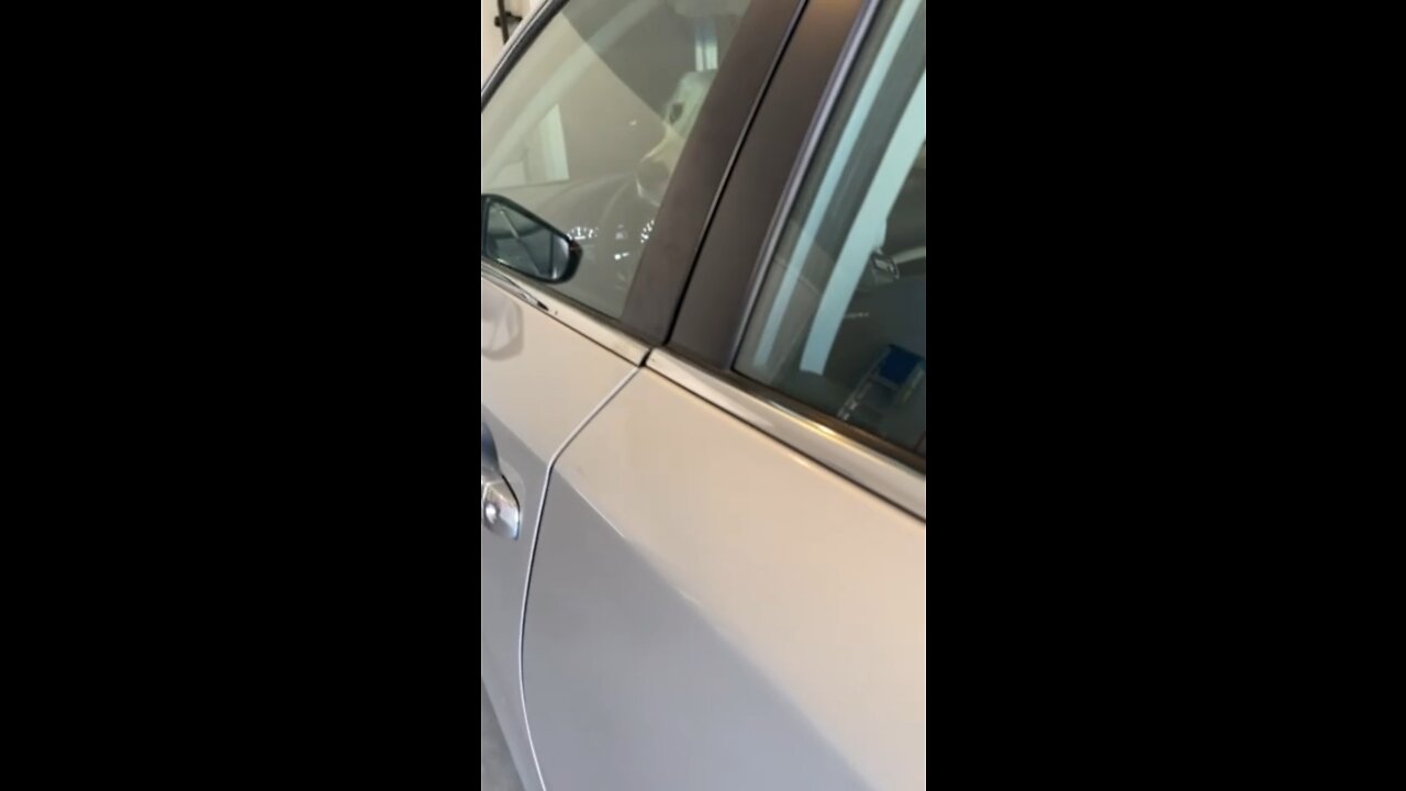 GOLDEN RETRIEVER STEALS CAR