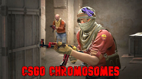 Counterstrike Chromosomes (CSGO Funny Moments)