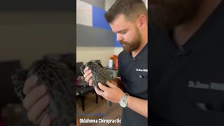 Kitten gets a chiropractic adjustment