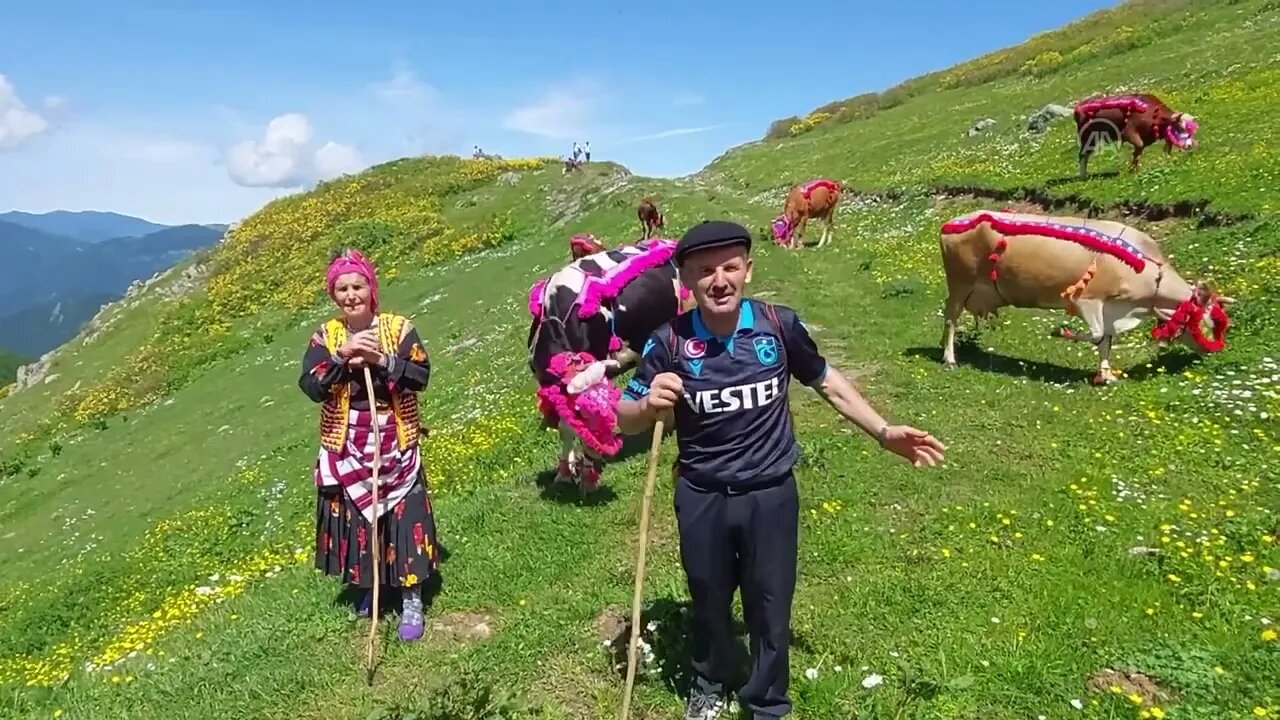 Colorful journey of nomadic herders​​​​​​​ in Türkiye’s Black Sea region