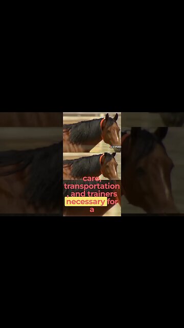 How Did the Entitled Small Town Treasurer Embezzle Millions for a Luxurious Lifestyle? pt2