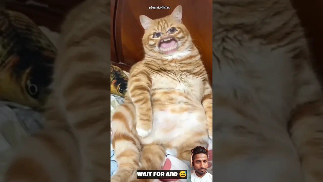 Reacts 😝 Wait For End #shortvideo