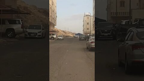 Cats are sleeping near the mosque