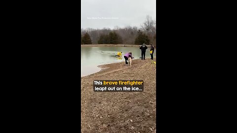 Brave Firefighter hero