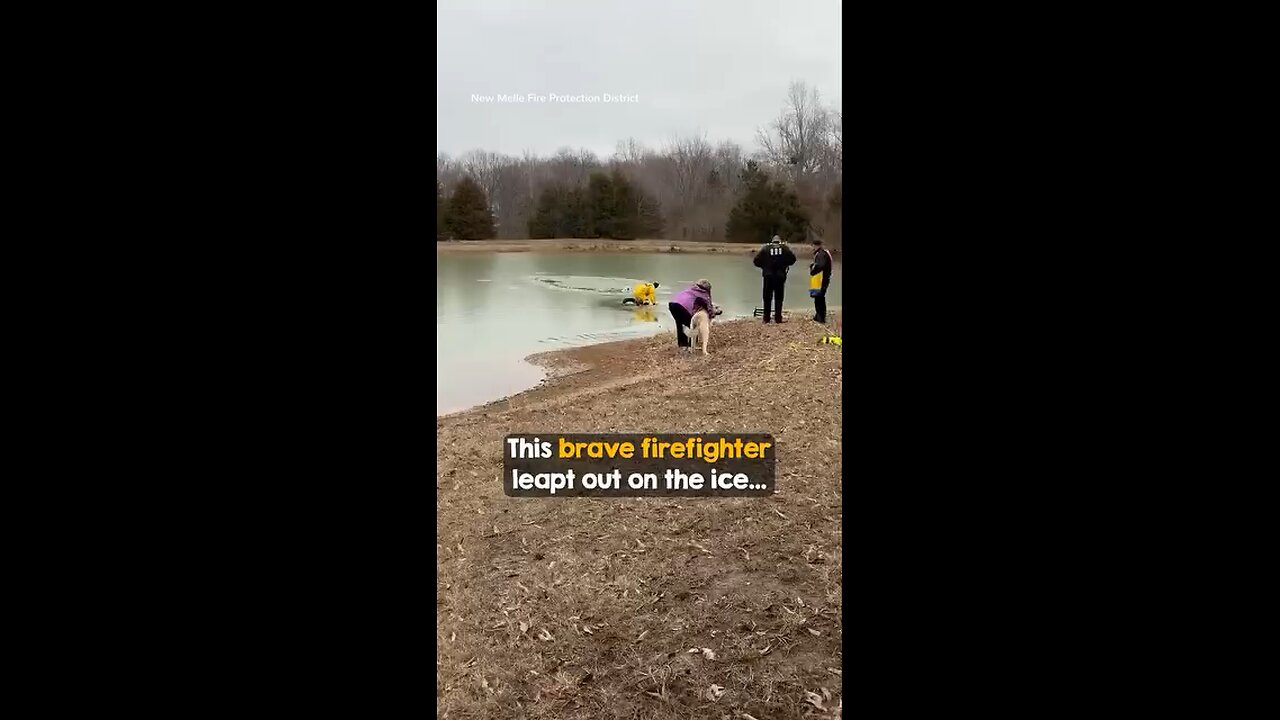 Brave Firefighter hero