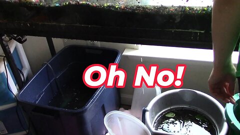 Our Aquarium Broke!🐟
