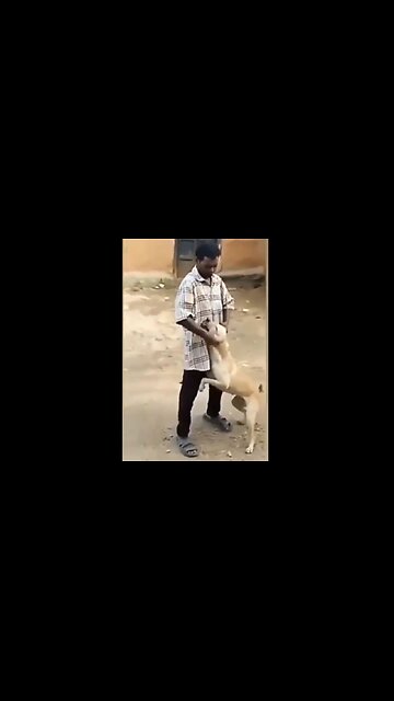 Man Abusing Dog Gets The Horns