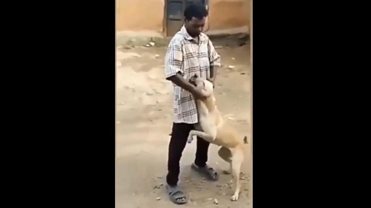 Man Abusing Dog Gets The Horns