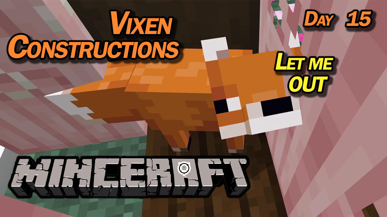 Vixen Constructions | Minecraft [PS5 Minceraft] (Day 15)