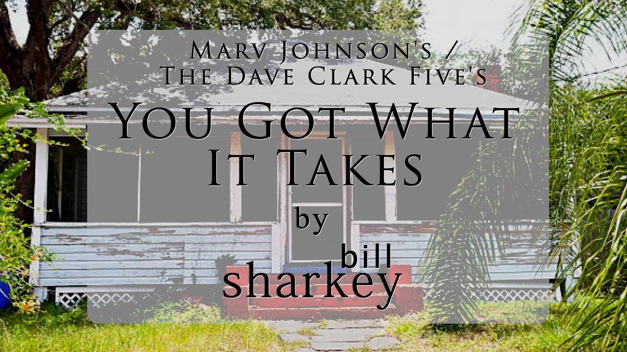 You Got What It Takes - Marv Johnson / Dave Clark Five, The (cover-live by Bill Sharkey)