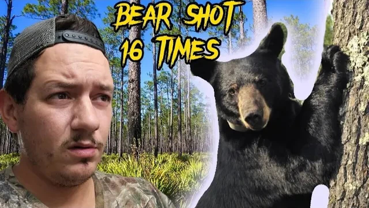Bear shot 16 times in Florida neighborhood
