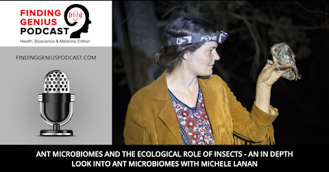 Ant Microbiomes and the Ecological Role of Insects