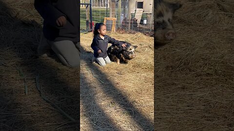 She loves her Pig! 🐷 #kunekune #farmanimals #farmlife #homestead #fy #fyp #home #happy #pigs