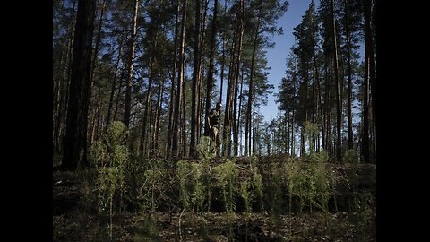 Efekt domina. Każda porażka Sił Zbrojnych generuje następną. ...