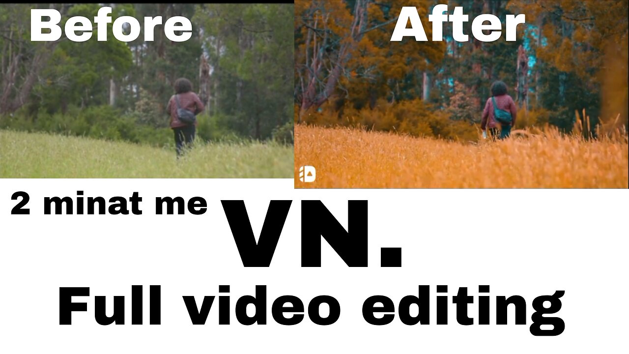 VN. full video editing