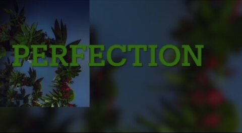 Perfection