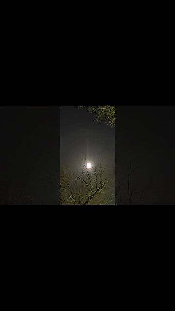 Full Moon Timelapse - November 2023 - #shorts