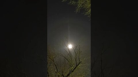 Full Moon Timelapse - November 2023 - #shorts