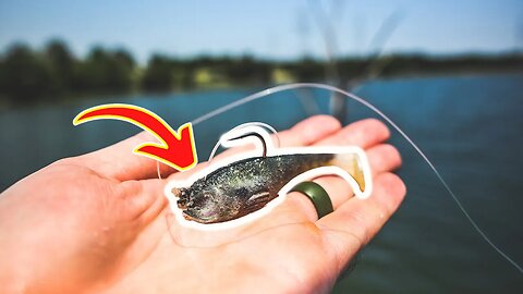 Could this bait REPLACE a JIG?