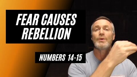 Daily Bible Breakdown: Fear Causes Rebellion