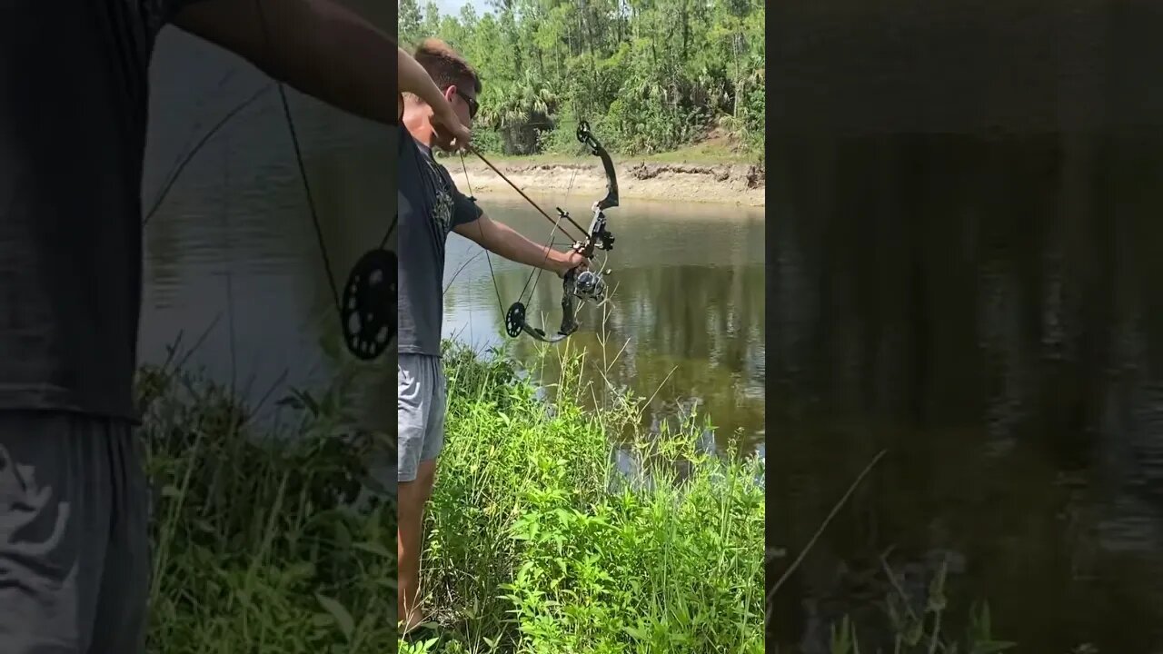 Shot the wrong kind of fish 🙄