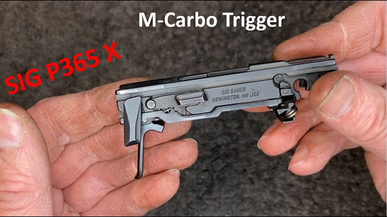 Sig P365 Disassembly/Assembly & MCarbo Trigger