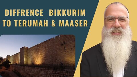 Mishna Bikkurim Chapter 2 Mishnah 4 Diffrence bikkurim to terumah & maaser