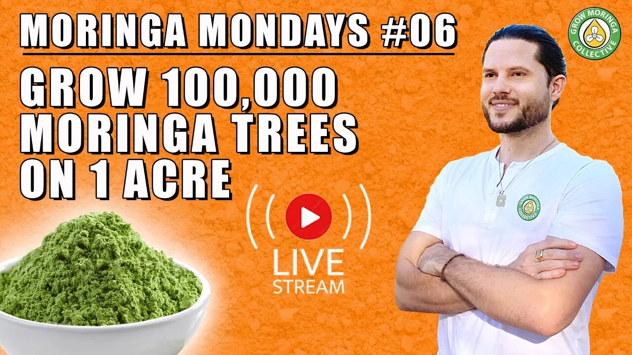 Grow 100,000 Moringa Trees on 1 Acre | Intensive MicroGreens BioStimulant Production for Other Crops