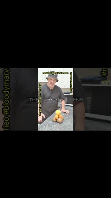 maurieo #shorts THE GOLDEN QUEENS ARE HERE