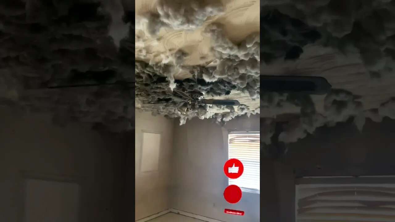 Why Would They Do This To Their House?