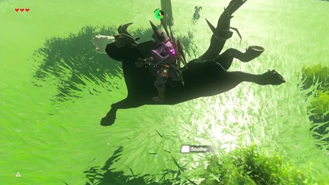 Breath of the Wild Master Mode 21