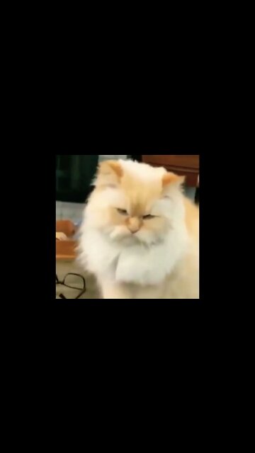 Dropping a hint.. 🤓 #shorts