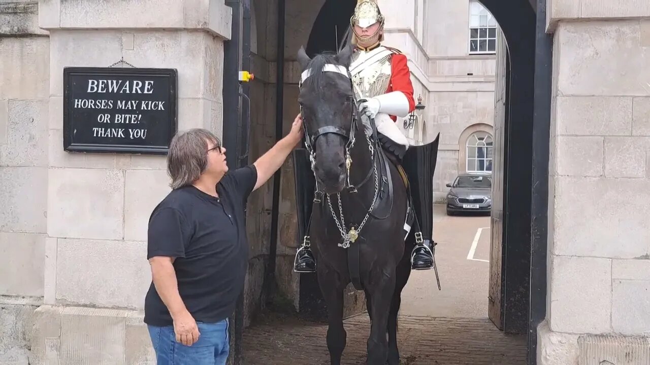 The Horse telling this tourist to f..k off #horseguardsparade