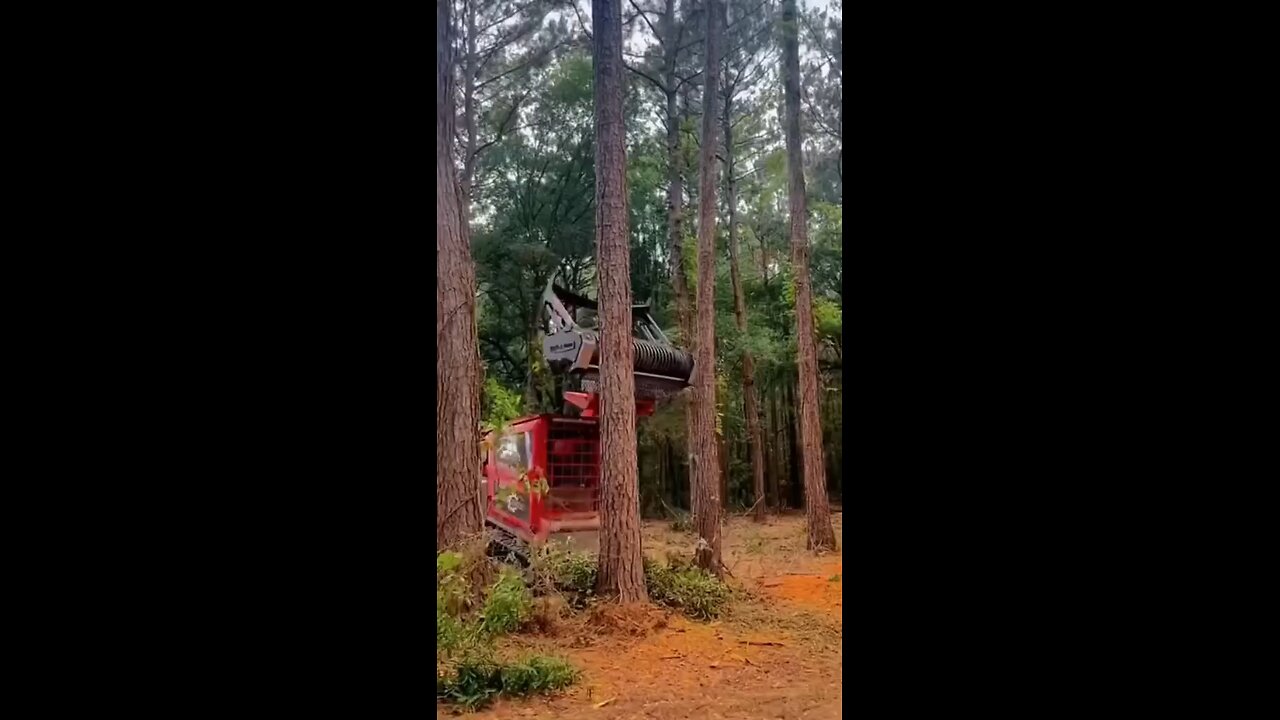 equipment cutting trees